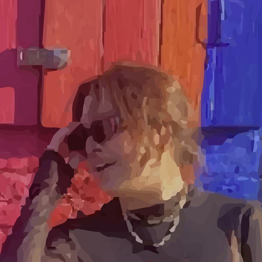 Stylized portrait of interview participant Anabel